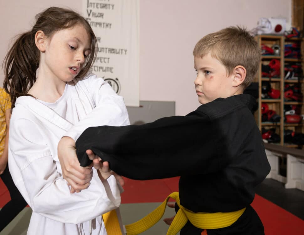 Raven Self Defense Academy Gallery Photo Number 4